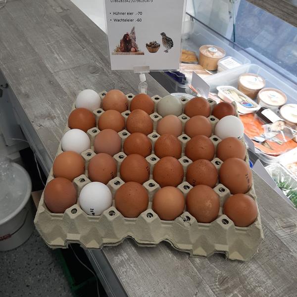 Eier.klein_600x600