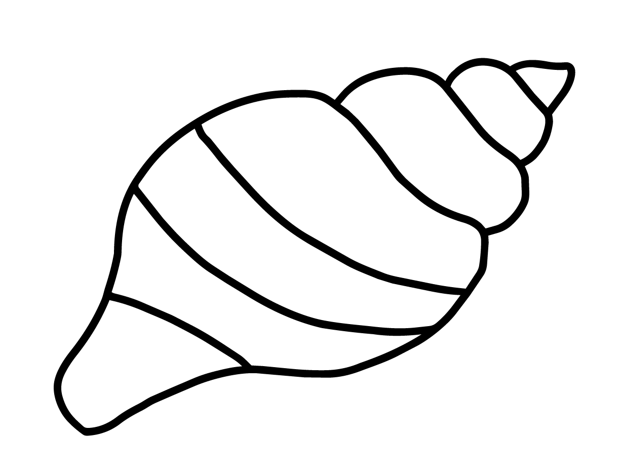Muschel1